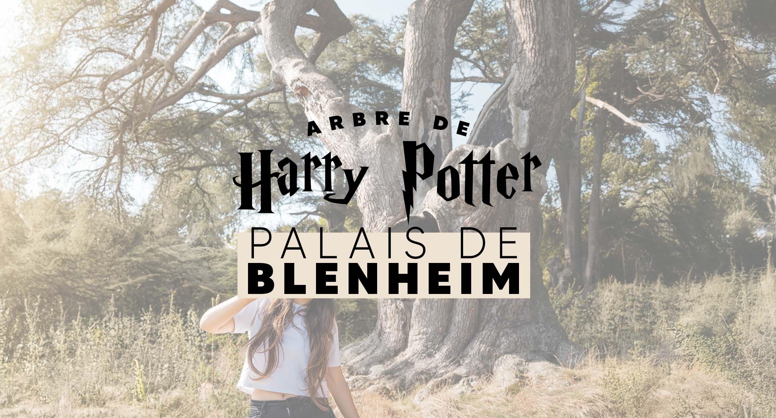 L’arbre de Harry Potter au Palais de Blenheim : visiter le gratuitement