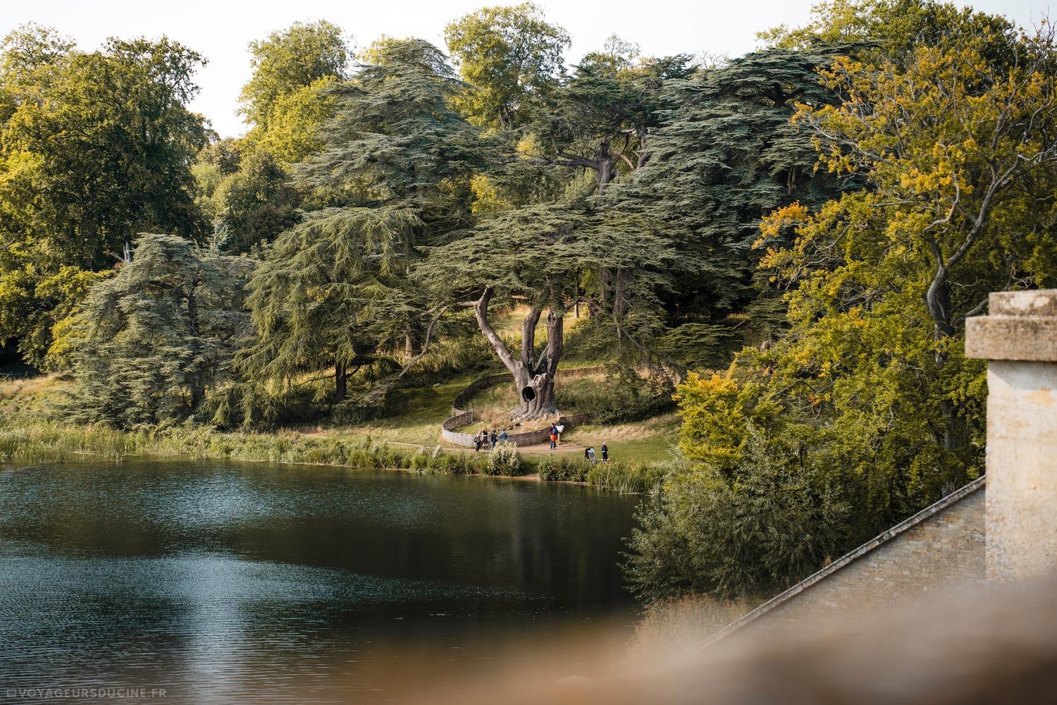 arbre de Harry Potter au Palais de Blenheim Voyage lieux de tournage