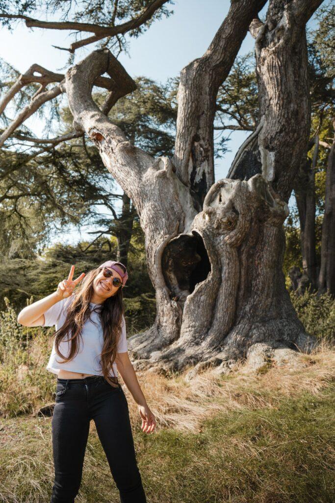 Visite de l'arbre de Harry Potte au Blenheim parc voyage Harry Potterr Angleterre